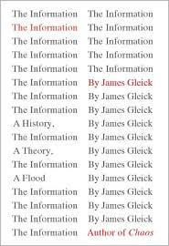 The Information book cover